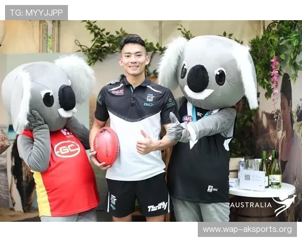 三升体育官方合作伙伴详细介绍及合作优势助力用户选择最优体育服务